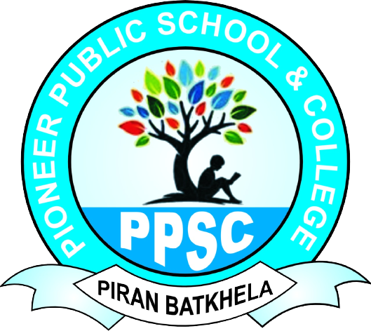 Pioneer public school & College